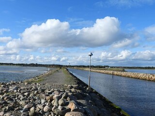 Ferienhaus Lyngså  22