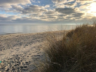 Ferienhaus Lyngså  12