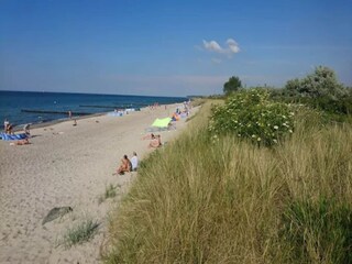 Apartment Börgerende-Rethwisch Environment 26