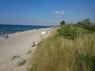 Apartment Börgerende-Rethwisch Umgebung 26