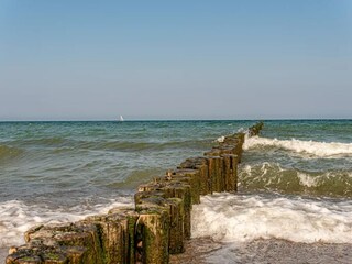 Apartment Börgerende-Rethwisch Environment 31