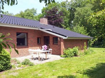 Ferienhaus im Grünen