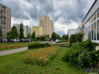Maison de vacances Wansdorf Environnement 15