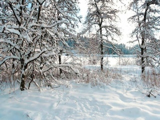 Apartamento Langelsheim im Harz Entorno 32