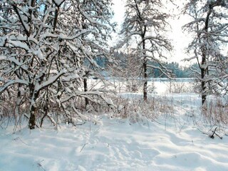 Appartamento Langelsheim im Harz Ambiente 32