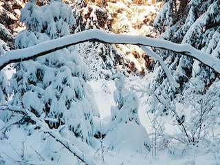 Apartamento Langelsheim im Harz Entorno 31