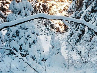 Appartamento Langelsheim im Harz Ambiente 30