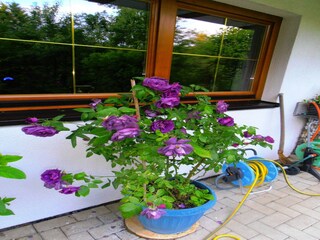 Apartment Langelsheim im Harz Außenaufnahme 8