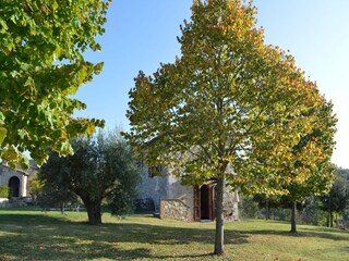 Appartement Trequanda Buitenaudio-opname 12