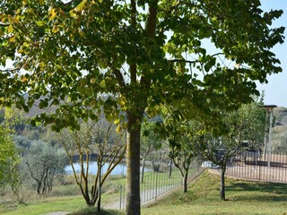 Appartamento Trequanda Ambiente 29