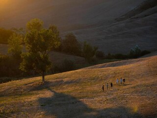 Appartamento Trequanda Ambiente 38