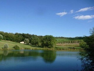 Appartamento Trequanda Ambiente 30