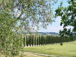 Appartamento Trequanda Ambiente 27