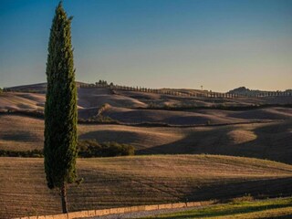 Appartamento Trequanda Ambiente 28