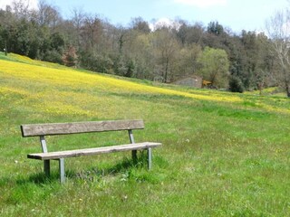 Appartement Trequanda Environnement 34