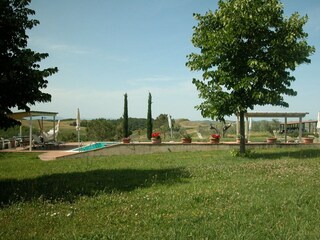 Appartamento Trequanda Ambiente 39