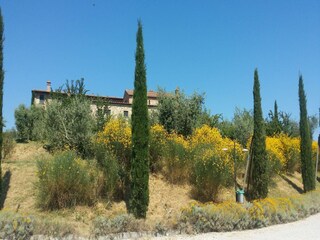 Apartment Asciano  33