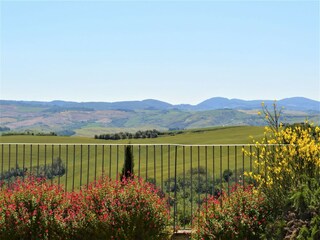 Apartamento Asciano Entorno 30