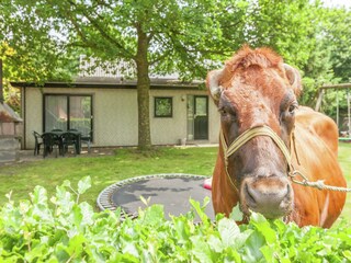 Chalet Uden  29