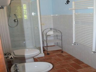 Type de propriété : Ferme Asciano Équipement 37