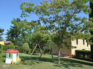 Boerderij Asciano Buitenaudio-opname 21