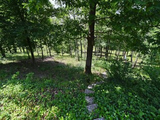 Vakantiehuis Barvaux-sur-Ourthe Omgeving 25