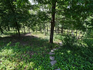 Vakantiehuis Barvaux-sur-Ourthe Omgeving 28