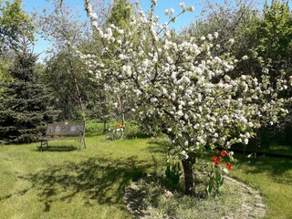 Apartment Malchow Außenaufnahme 3