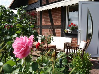 Apartment Malchow Outdoor Recording 3