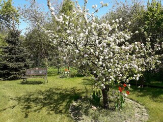 Apartment Malchow Outdoor Recording 2