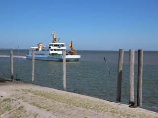 Apartment Hagermarsch Environment 16