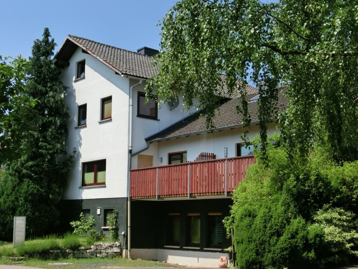 Ferienhaus Bad Wildungen Außenaufnahme 1