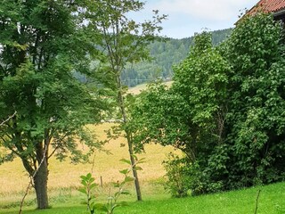 Vakantiehuis Järvsö Buitenaudio-opname 2