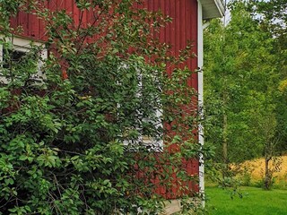 Vakantiehuis Järvsö Buitenaudio-opname 4
