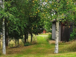 Vakantiehuis Järvsö  10