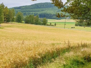 Vakantiehuis Järvsö  11