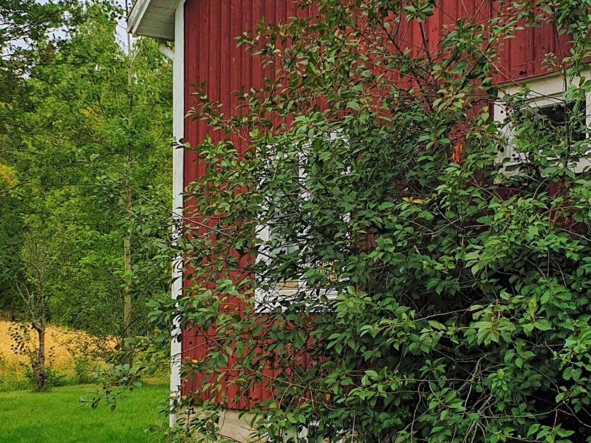 Ferienhaus Järvsö Außenaufnahme 5