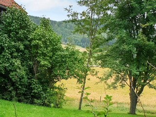 Vakantiehuis Järvsö  34