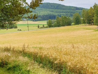 Holiday house Järvsö  35