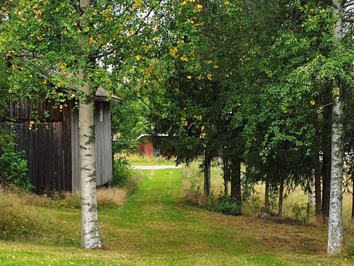 Ferienhaus Järvsö  36