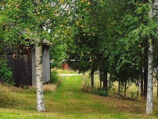 Vakantiehuis Järvsö  36