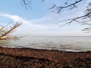 Ferienhaus Plau am See Umgebung 34