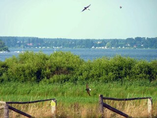 Vakantiehuis Plau am See Omgeving 19