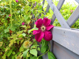 Appartement Trassenheide Enregistrement extérieur 3