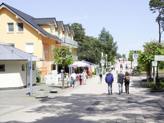 Appartement Trassenheide Environnement 36
