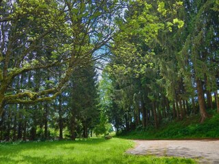 Appartement Görwihl Environnement 27