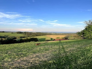 Apartment Görwihl Environment 28