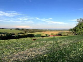 Appartement Görwihl Omgeving 28