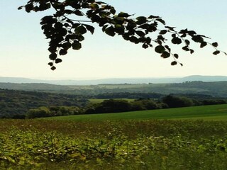 Apartment Görwihl Umgebung 33