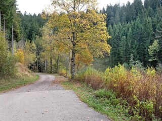 Apartamento Görwihl Entorno 36